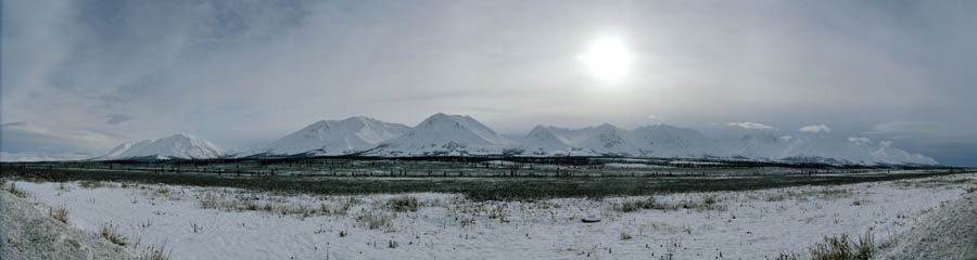 denali drive 4