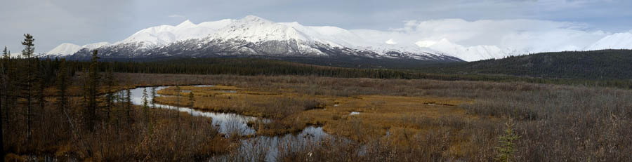 mt mckinley