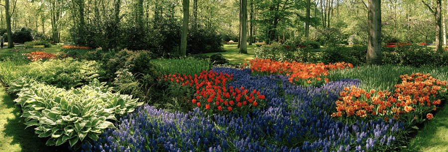 keukenhof