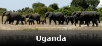 Uganda panorama
